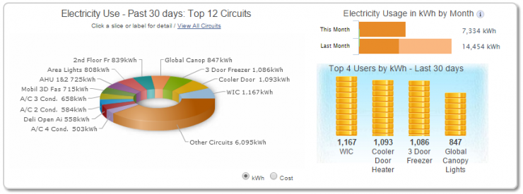 SiteSage reports for past 30 days, costs and electricity use