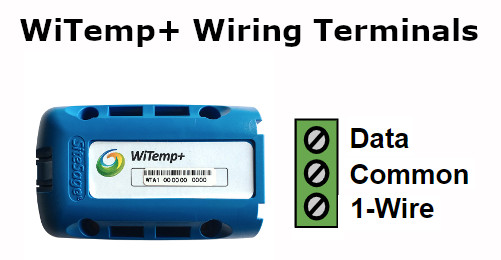 WiTemp+ Wiring Terminals